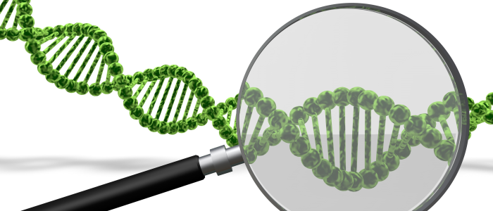 DNA-test | erfelijke spierziekte | myotone dystrofie | Mijngezondheidsgids
