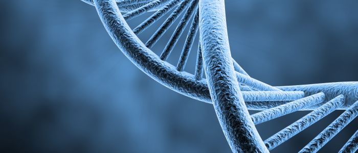 In farmacogenetica loopt Nederland voorop