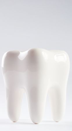 tand - tandarts